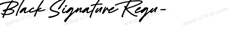 Black Signature Regu字体转换